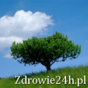 Zdrowie24h.pl